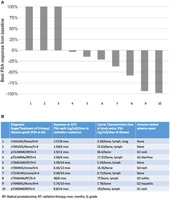 Phase II Study of Ipilimumab in Men With Metastatic Prostate Cancer With an Incomplete Response to Androgen Deprivation Therapy